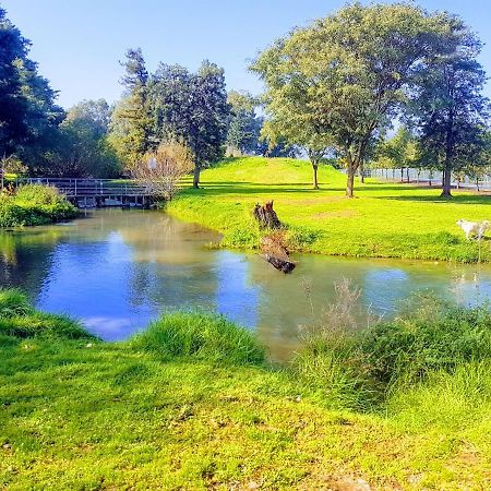 Huge & Private Villa In Kibbutz Дафна Экстерьер фото