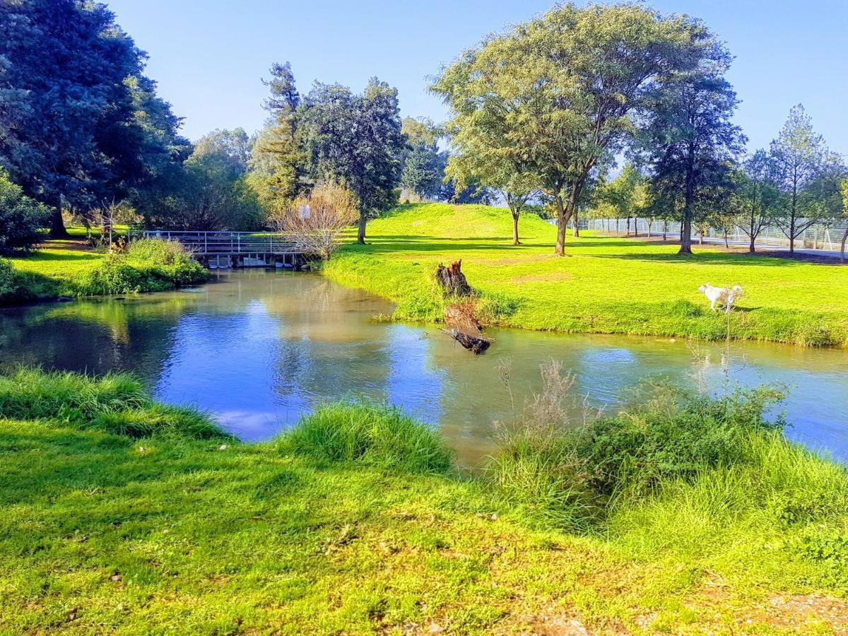 Huge & Private Villa In Kibbutz Дафна Экстерьер фото
