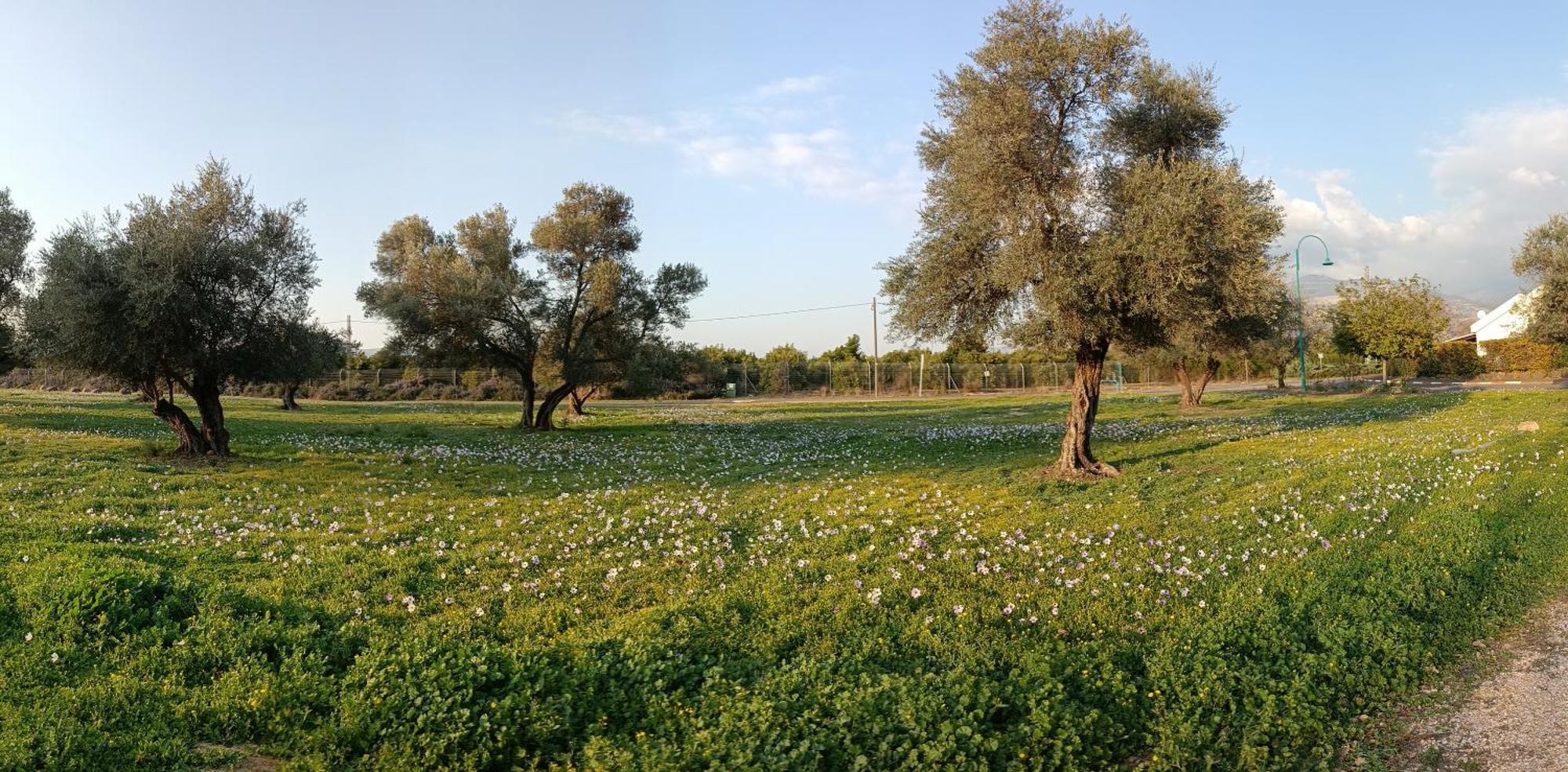 Huge & Private Villa In Kibbutz Дафна Экстерьер фото
