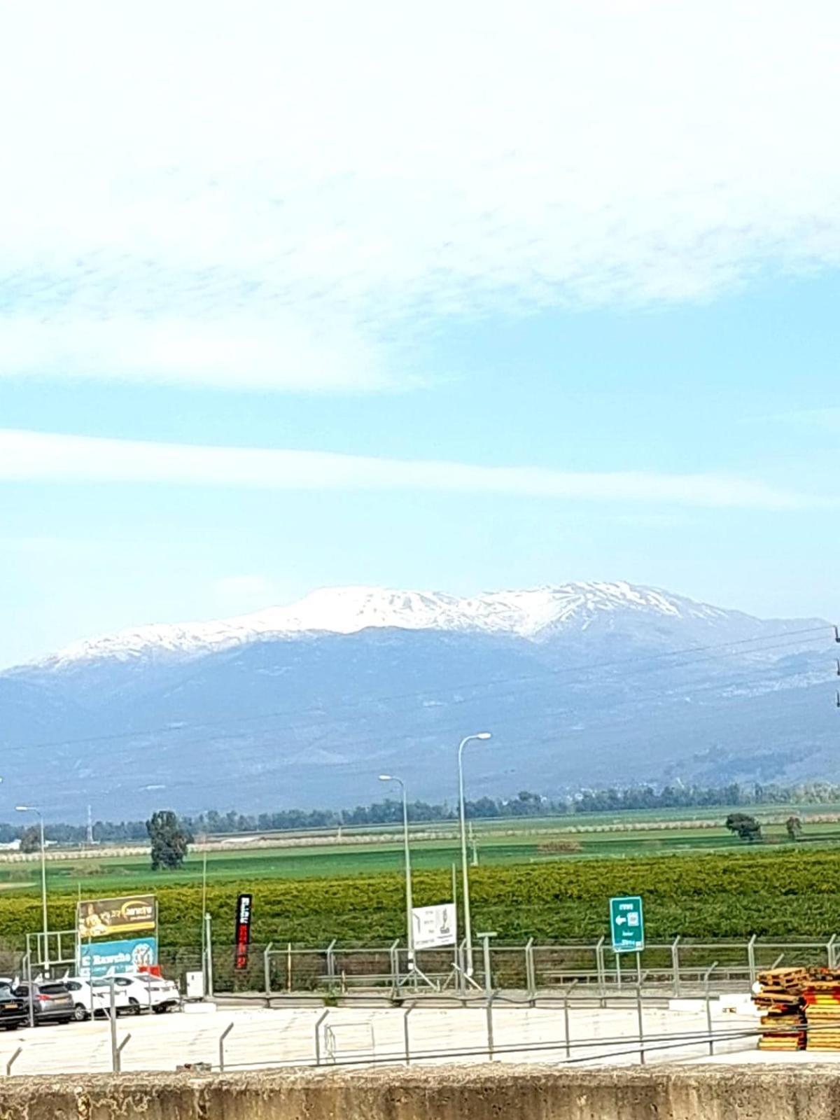 Huge & Private Villa In Kibbutz Дафна Экстерьер фото